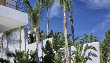 Resa Estates Ibiza koop sale Cala Moli villa seaviews modern pool palmboom.jpg